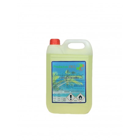 12 Ambientador Dólar (5 L)