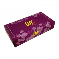04 Caja Pañuelos Tissue 2 capas  (40 paquetes x 100 uds)