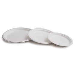 05 Plato Caña Azúcar Blanco 22cm (Paquete de 50 uds.)